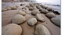 Bowling Beach Ball atau Pantai Bola Bowling di Kota Mendocino, California, AS memiliki aneka batu berbentuk bulat, mirip bola bowling. Batu ini bahkan tidak bergerak sedikitpun walau dihantam ombak besar. (parks.ca.gov)