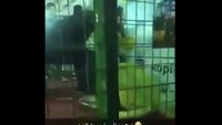 Tiba-tiba orang asing datang menolong gadis tersebut. 
