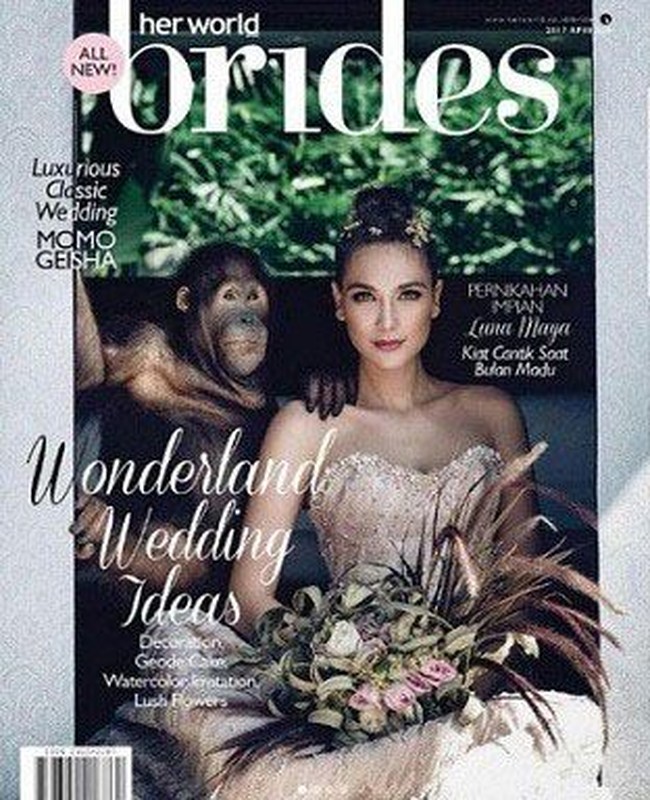 Luna Maya pernah menjadi kontroversi ketika memamerkan fotonya berpose dengan orang utan untuk sebuah pemotretan majalah. Foto tersebut dikecam oleh organisasi lingkungan Borneo Orangutan Surival (BOS) Foundation. Orangutan adalah satwa terancam punah dan dilindungi undang-undang. Tidak selayaknya orangutan diperlakukan seperti ini, dipromosikan sebagai hewan peliharaan atau mainan! tulis BOS. Foto: Instagram