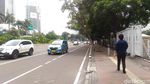Pohon-pohon di Sudirman-Thamrin yang Terancam Tinggal Kenangan