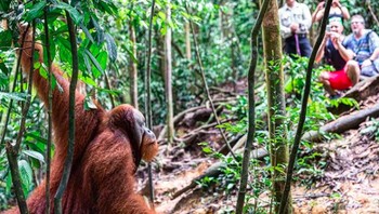 Setidaknya ada 138 foto yang diposting di akun Instagram miliknya. Kesemuanya bercerita tentang kekaguman Eugene dengan alam yang ada di Indonesia. Foto: instagram.com/e_kaspersky