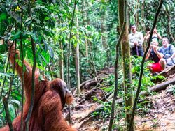 Bukti Bos Teknologi Rusia Kepelet Alam Indonesia