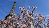 Seiring berjalannya waktu, waktu turunnya hujan cenderung berkurang dan bikin cuaca hangat di Kota Paris. Cantiknya Menara Eiffel saat musim semi menyapa (CNN Travel)