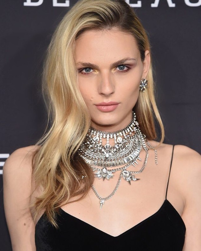 Model trangender paling terkenal adalah Andreja Pejic. Sebelum benar-benar menjadi transgender, Andreja Pejic sudah sukses jadi model androgini. Namun di 2014, Andreja melakukan operasi kekamis. Aku selalu bermimpi jadi wanita. Aku teringat ketika masih kecil dulu mencoba rok ibuku dan membayangkan menjadi ballerina, ucapnya.  Foto: Instagram