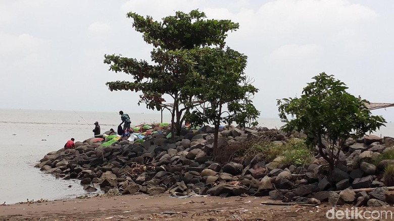 Awalnya Kumuh, Muara Sungai Sigeleng Brebes Jadi Tempat Wisata Asyik Awalnya Kumuh, Muara Sungai Sigeleng Brebes Jadi Tempat Wisata Asyik