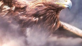 Burung besar dan manusia di bawahnya saling merentangkan sayap dan tangan. (Foto: Ebenism)