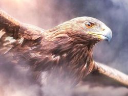 Ketika Para Hewan Raksasa Berhadapan dengan Manusia