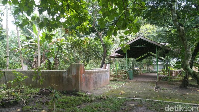 Foto Sebelum Hutan Di Semarang Jadi Pasar