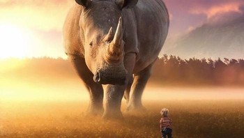 Bermain bersama. (Foto: Ebenism)