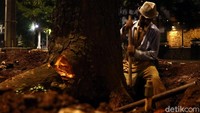 Proses pengerjaannya meliputi pemangkasan pada daun dan tangkai pohon. Kemudian akar pohon dipotong menggunakan gergaji mesin.