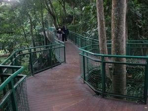 Serunya Forest Walk di Babakan Siliwangi Bandung