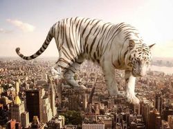 Ketika Para Hewan Raksasa Berhadapan dengan Manusia