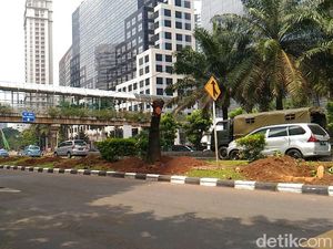 Melihat Bekas Lokasi Pohon yang Dipindahkan dari Sudirman-Thamrin