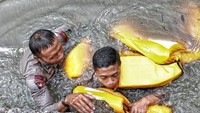 Tebalnya lumpur di dasar sungai membuat petugas kesulitan mencari korban (@yondpeloporpmj/Instagram)