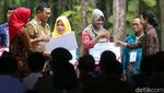 Panen Raya Jagung di Tuban, Jokowi Semringah