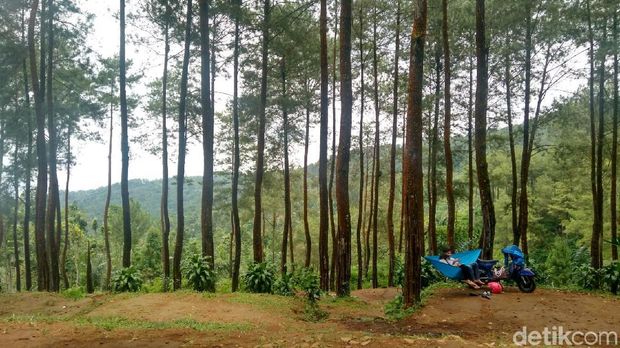 (Dadang/detikTravel)