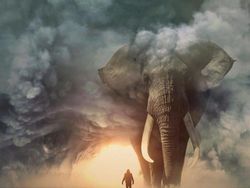 Ketika Para Hewan Raksasa Berhadapan dengan Manusia