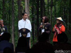 Dipuji Petani Tuban, Jokowi: Ini Kayak Kampanye, Nanti Disemprit