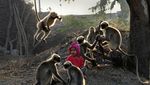 Kenalan dengan Samarth Mowgli, Bocah yang Akrab dengan Monyet