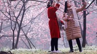 Pengunjung tidak mensia-siakan kesempatan itu untuk berfoto dengan latar sakura