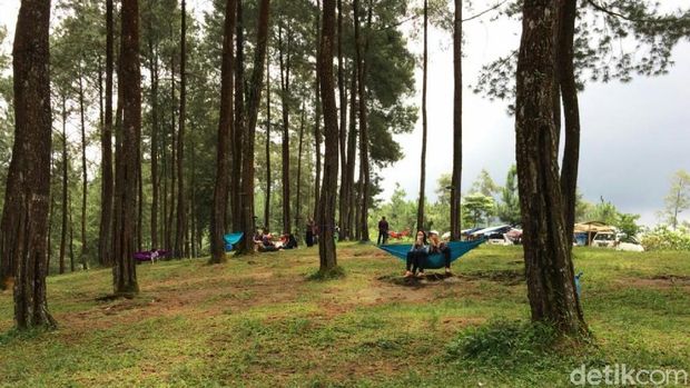 (Dadang/detikTravel)