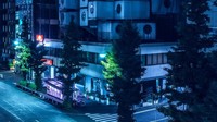 Hasil karya foto Tom Blachford.