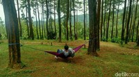Banyak juga pasangan muda-mudi yang pacaran di hutan ini. Boleh saja, tapi asal tidak menjurus ke hal-hal terlarang ya! (Dadang/detikTravel)