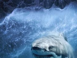 Ketika Para Hewan Raksasa Berhadapan dengan Manusia