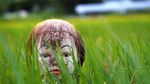 Foto: Lihat Lagi Manekin Penjaga Sawah di Jepang