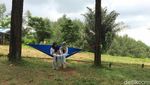 Foto: Hutan Pinus Instagramable dari Ciamis