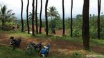 Foto: Hutan Pinus Instagramable dari Ciamis