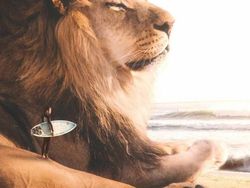 Ketika Para Hewan Raksasa Berhadapan dengan Manusia