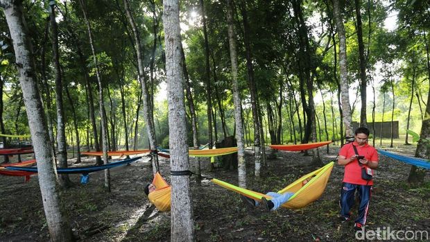 Suasana Hutan Wisata Tinjomoyo, Kota Semarang.