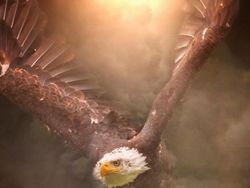 Ketika Para Hewan Raksasa Berhadapan dengan Manusia