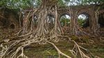Foto: Ross Island, Pulau Hantu yang Bangunannya Dimakan Hutan