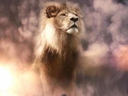 Ketika Para Hewan Raksasa Berhadapan dengan Manusia