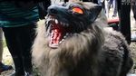 Ini Penampakan Seram Serigala Monster yang Jaga Sawah di Jepang