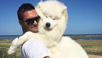 Selain bermain dan bersantai bersama keluarga di tepi pantai, kegiatan ini akan lebih seru jika mengajak hewan peliharaan. (simba.thesamoyed/Instagram)