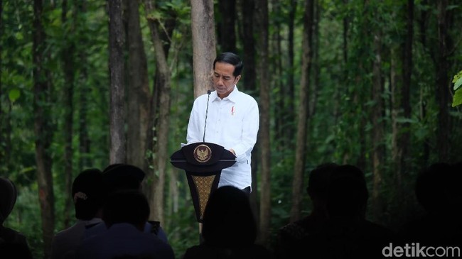 Gaji Jokowi Bakal Naik Jadi Rp 553 Juta?