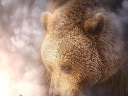 Ketika Para Hewan Raksasa Berhadapan dengan Manusia