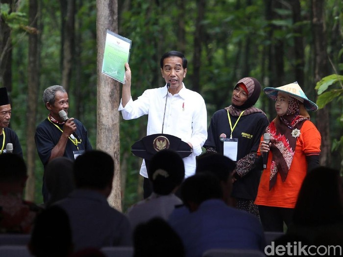 Presiden Jokowi terlihat sangat semringah saat panen raya jagung di lahan Program Perhutanan Sosial, Desa Ngimbang, Tuban, Jawa Timur.