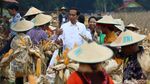 Panen Raya Jagung di Tuban, Jokowi Semringah