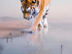 Ketika Para Hewan Raksasa Berhadapan dengan Manusia