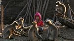 Kenalan dengan Samarth Mowgli, Bocah yang Akrab dengan Monyet