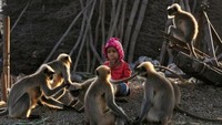 Monyet-monyet terus datang dalam waktu yang sama walaupun Samarth sedang tidur. Pertama mereka membangunkannya, lalu setelahnya mereka duduk bersama selama satu atau dua jam, papar paman Samarth,  Reddy pada AFP.   