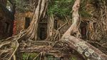 Foto: Ross Island, Pulau Hantu yang Bangunannya Dimakan Hutan