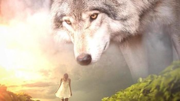 Tatapan tajam sang serigala. (Foto: Ebenism)