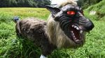 Ini Penampakan Seram Serigala Monster yang Jaga Sawah di Jepang
