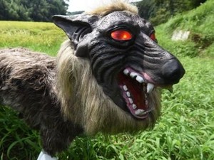 Penjaga Sawah Seram di Jepang: Serigala Monster Vs Kepala Manekin