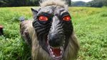 Ini Penampakan Seram Serigala Monster yang Jaga Sawah di Jepang